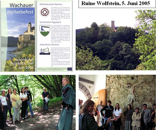 Ruine Wolfstein