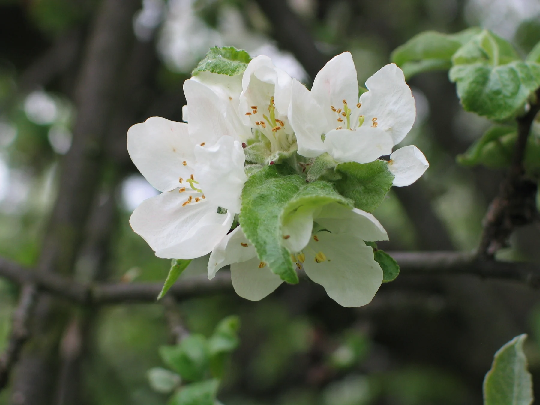 Die Natur erzählt mit
